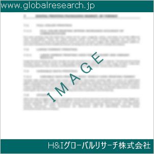 グローバルリサーチ調査資料のイメージ